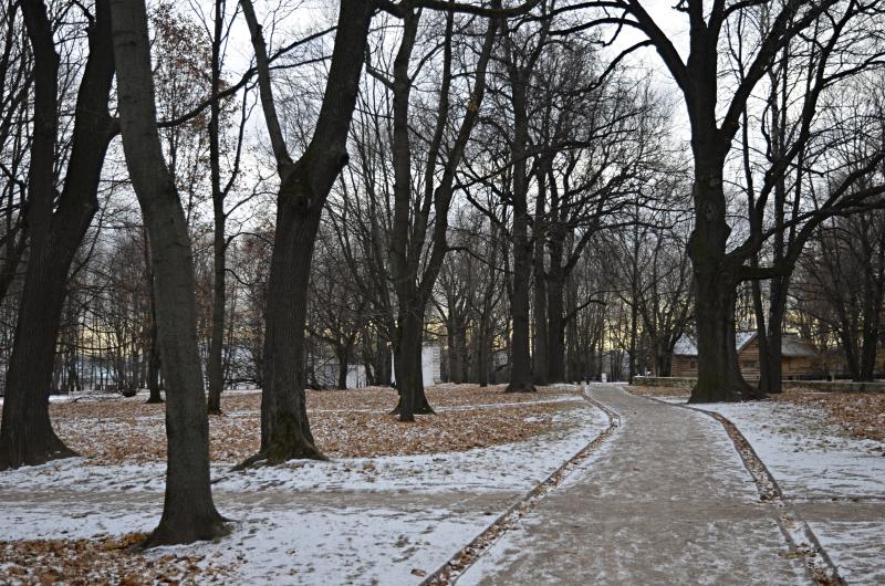 Свыше 100 дворовых территорий озеленят в 2019 году в Пресненском районе. Фото: Анна Быкова