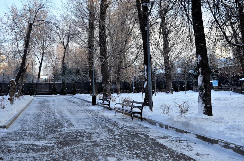 Деревья высадили на территории исторического прохода в Парк Горького
