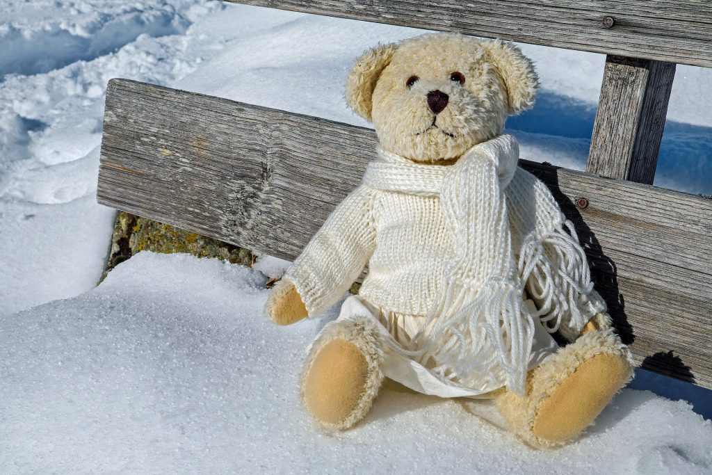 Москвичей пригласили посмотреть на медведей Тедди. Фото: pixabay.com