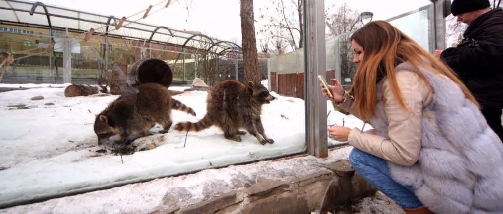 Студентов пригласили в Московский зоопарк на «Университетский квест»