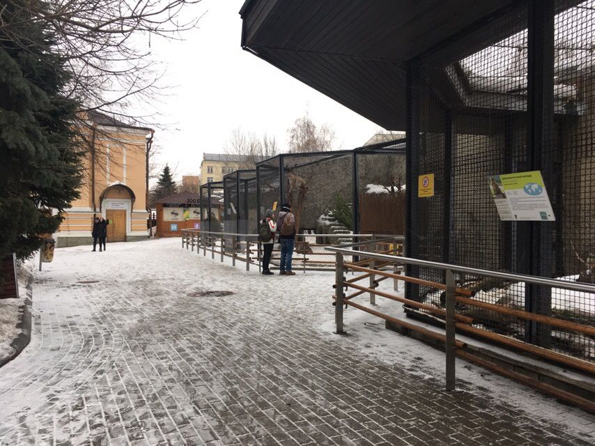 Вольеры в зимнем Московском зоопарке. Фото: Алена Антонова