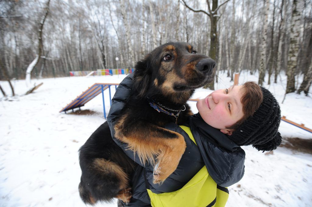 Собака-обнимака согреет москвичей в парке «Сокольники»