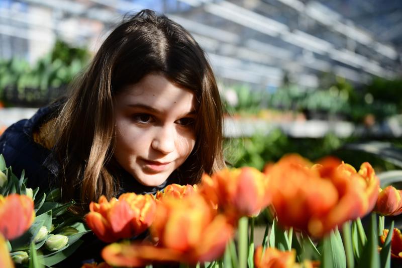 Посетителям Аптекарского огорода подарят луковицы тюльпанов. Фото: архив, «Вечерняя Москва»