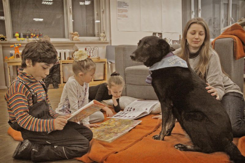 Юные москвичи прочитают книги собакам в государственной детской библиотеке. фото: Павел Волков, «Вечерняя Москва»