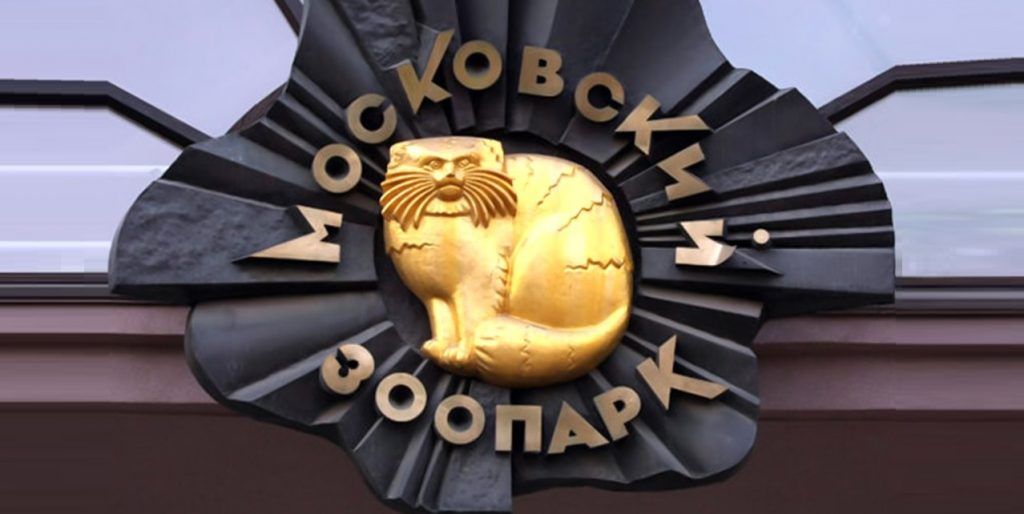 Барельеф с манулом украсит арку главного входа в Московский зоопарк