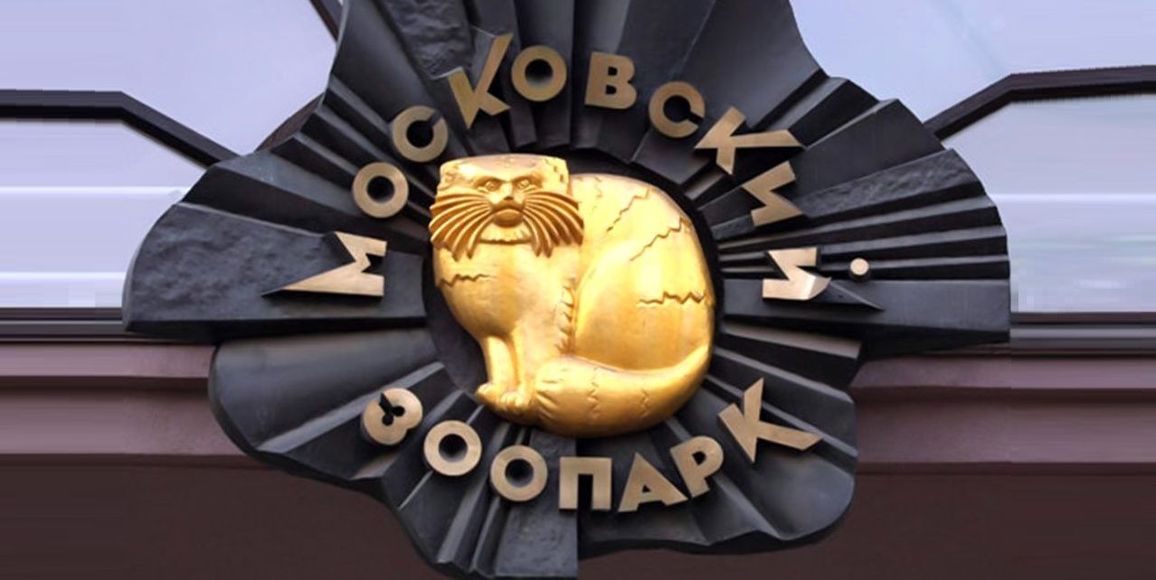 Барельеф с манулом украсит арку главного входа в Московский зоопарк. Фото: сайт мэра Москвы