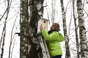 Средние температуры перешли через ноль в середине месяца. Фото: Ирина Хлебникова, "Вечерняя Москва"