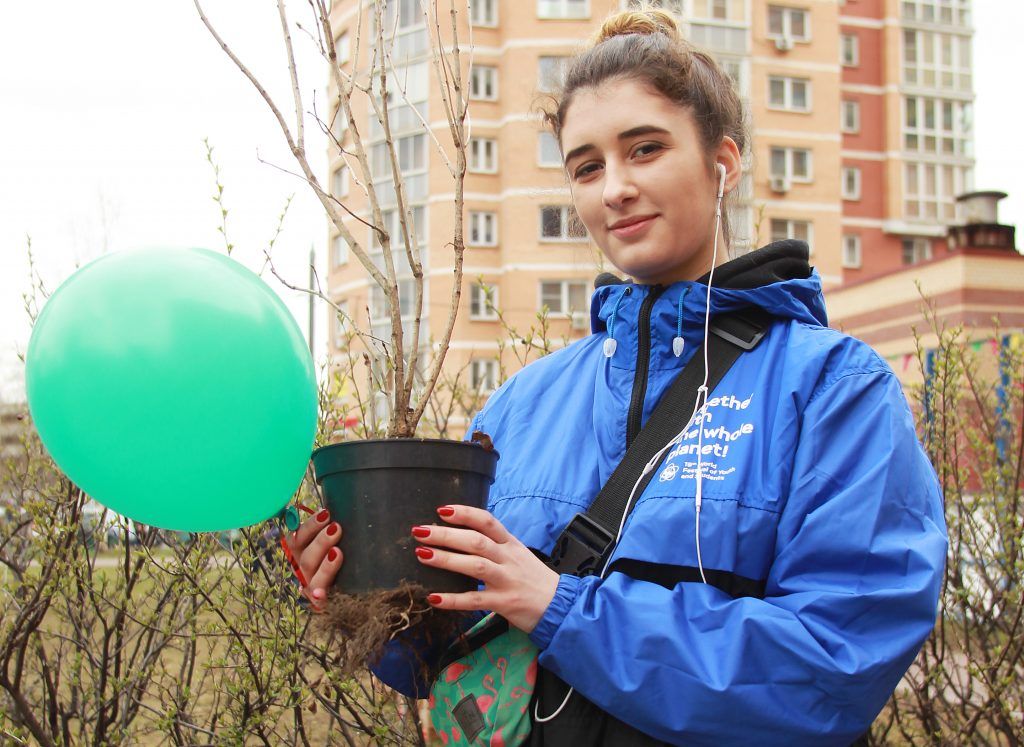 Добровольцев пригласили на субботники 13 и 20 апреля. Фото: Наталия Нечаева, «Вечерняя Москва»