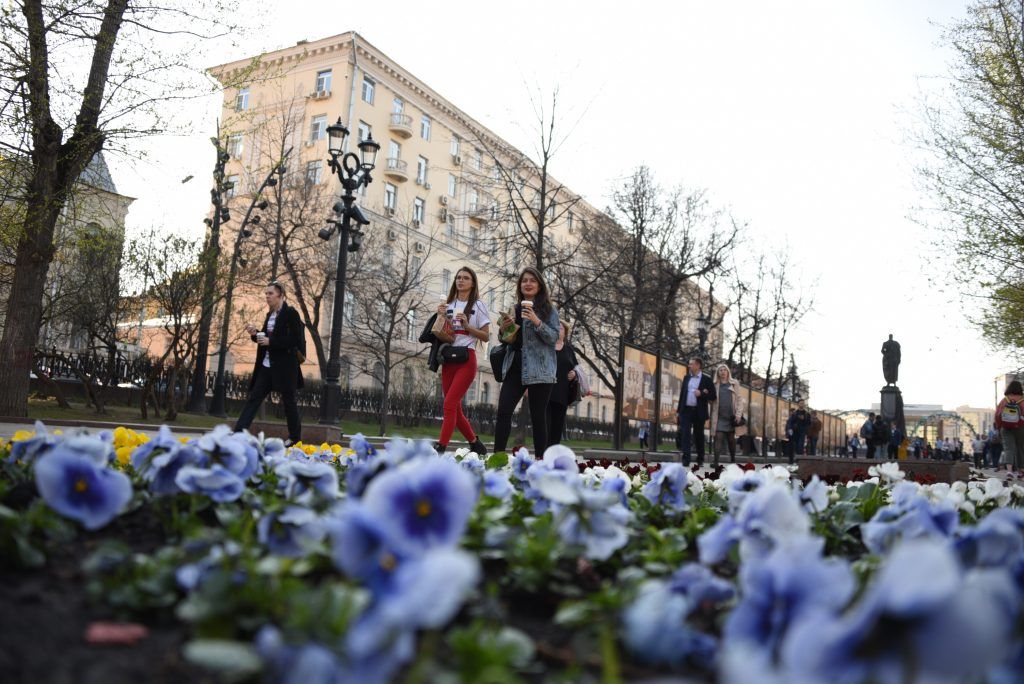 Апрель завершится в Москве теплой погодой