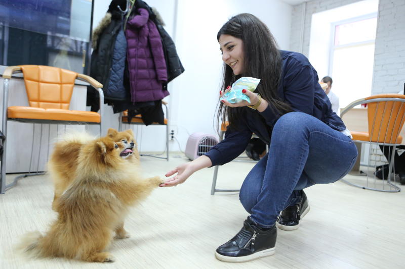 Студенты Московского государственного университета протянули лапу помощи бездомным животным