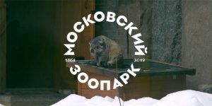 Животное традиционно является символом всего зоопарка. Фото: mos.ru