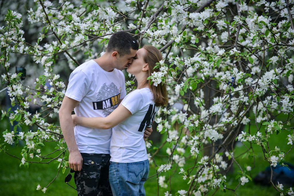 Яблоневый сад высадят у Кремля для фестиваля «Николин день»