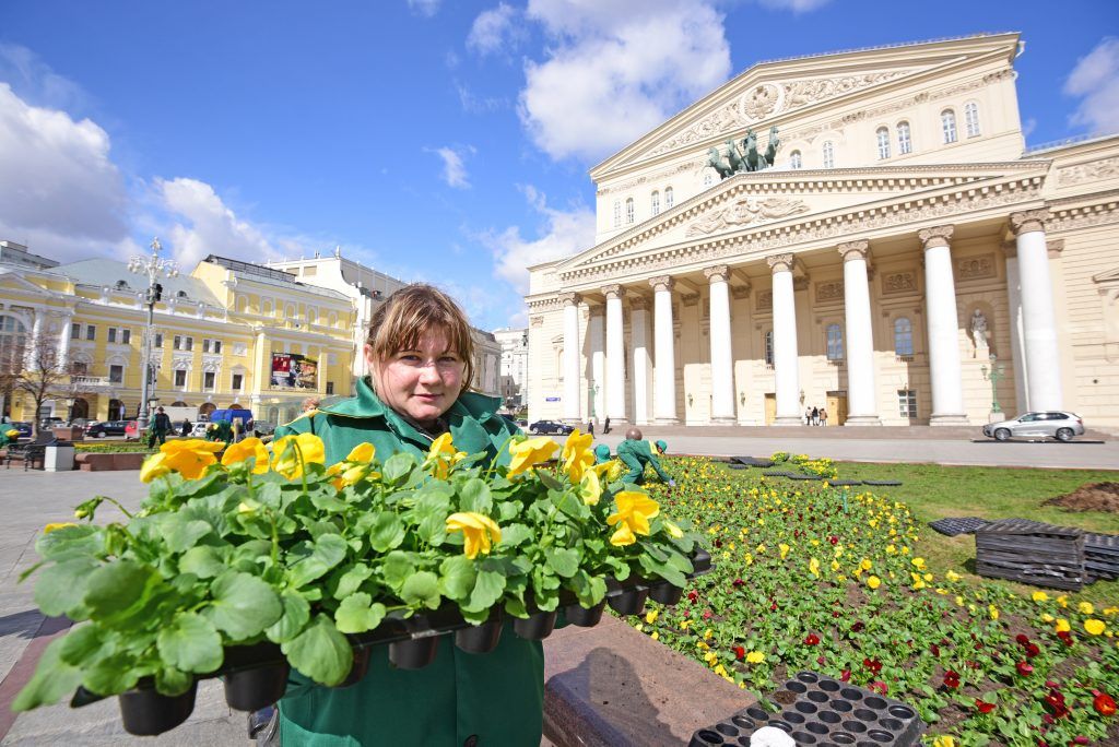 Сквер Большого театра в центре Москвы получит почти 30 тысяч цветов