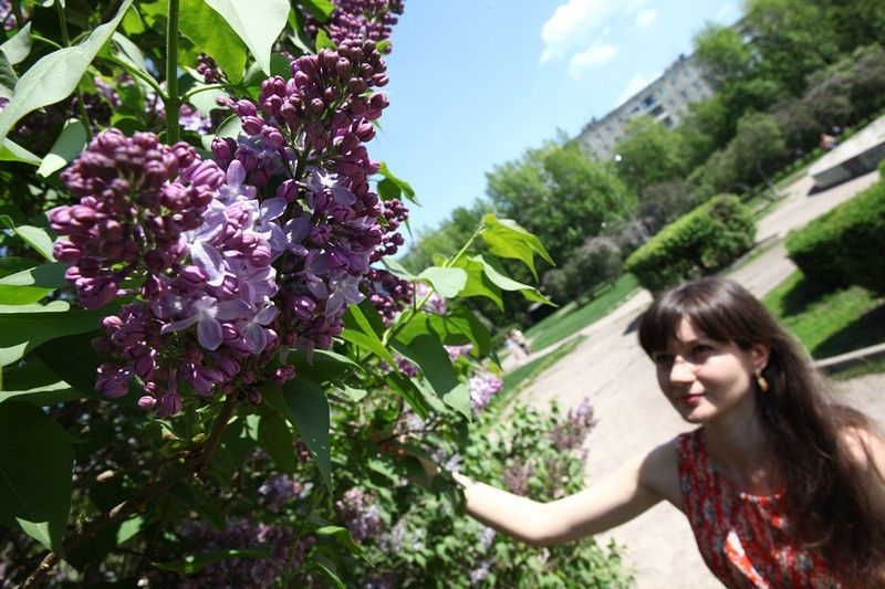 Москва высадила почти 20 видов растений в Китай-городе