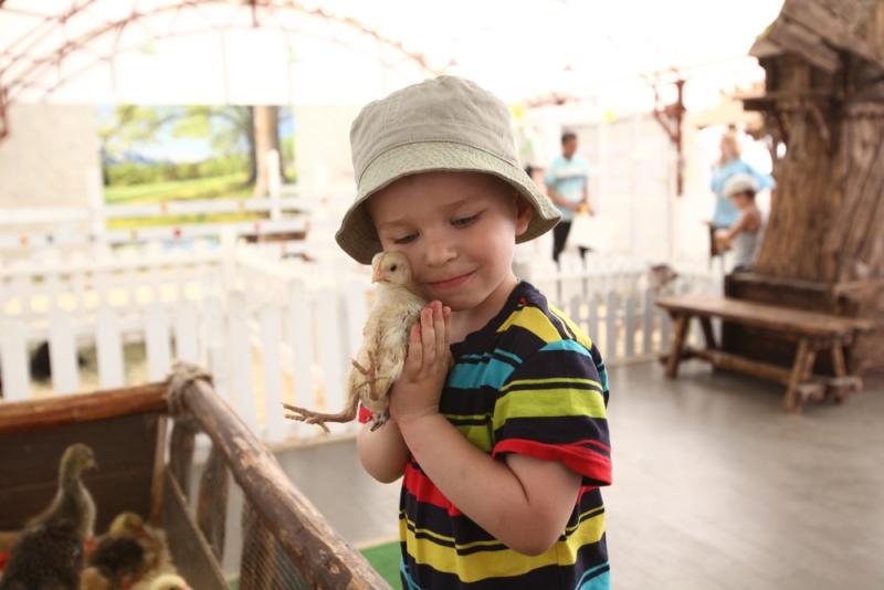 День защиты детей отметят в Московском зоопарке