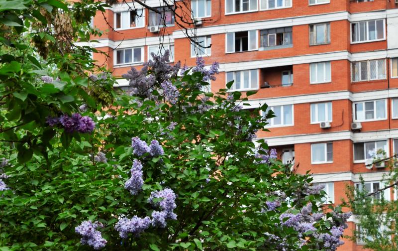 В Москве на кадастровый учет поставлено 49 домов по реновации. Фото: архив, «Вечерняя Москва»