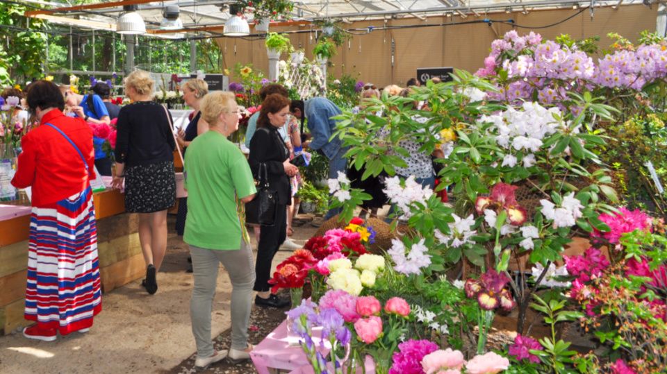 Выставка цветов в «Аптекарском огороде» будет радовать москвичей в июне