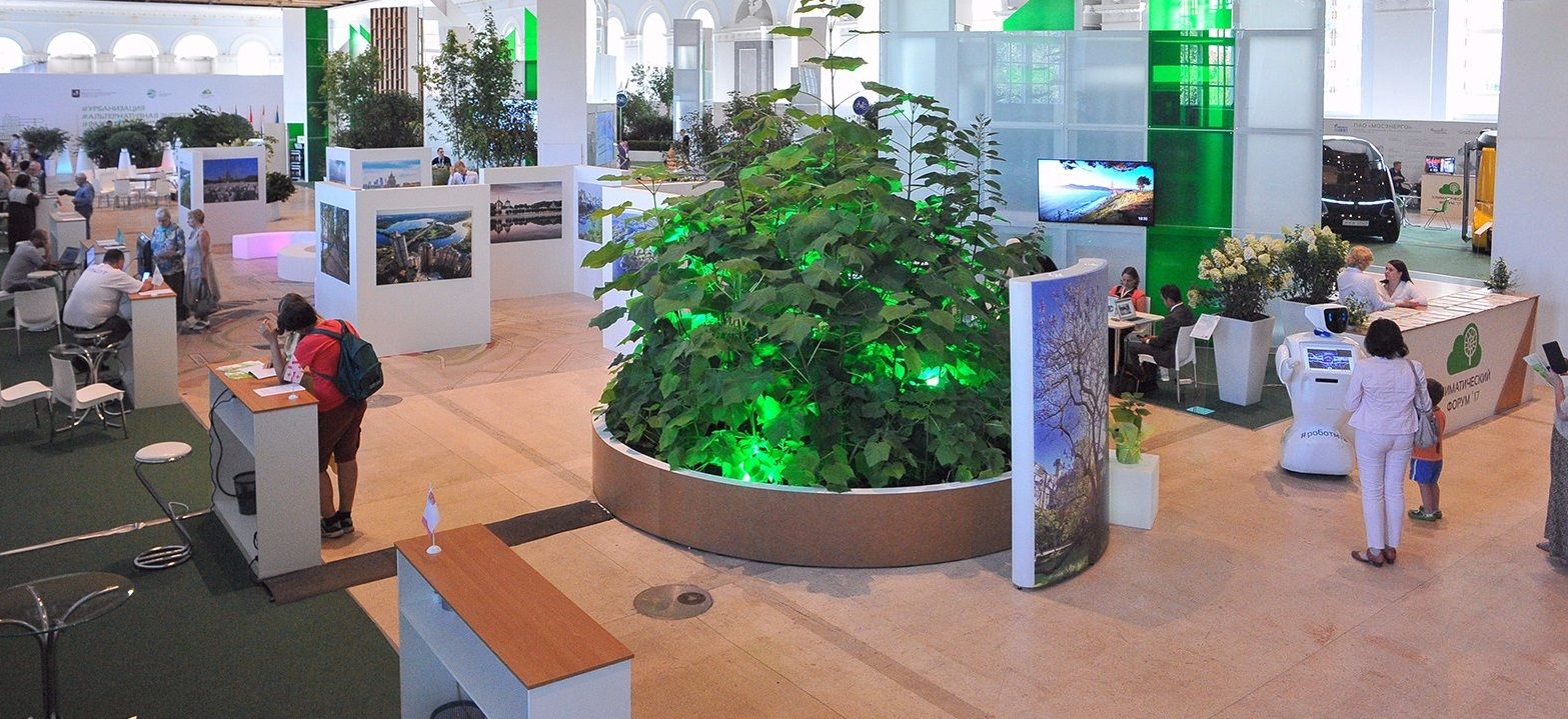 Выставку на тему экологии откроют в музее «Гараж». Фото: сайт мэра Москвы