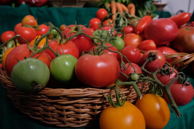 Праздник «День помидорки» состоится в «Аптекарском огороде». Фото: Максим Аносов, «Вечерняя Москва»