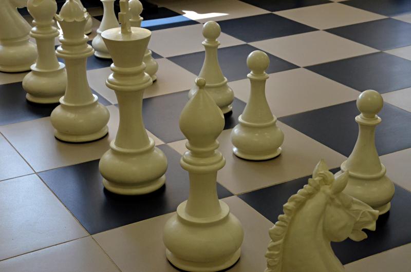 Международный день шахмат впервые отметят на ВДНХ. Фото: Анна Быкова