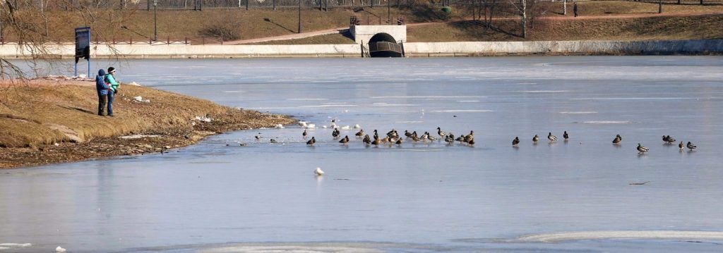 Новоспасский пруд благоустроят в Таганском районе