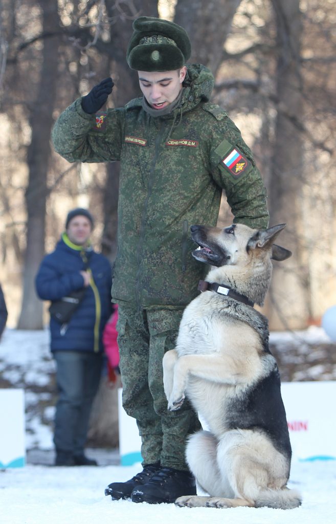 15 февраля 2020 года. Военнослужащий Дамир Сенбимов вместе с собакой Дейзи выполняют команду «смирно». Фото: Наталия Нечаева