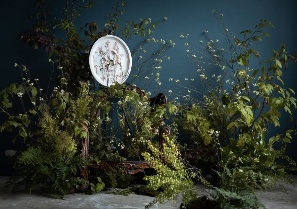 Остановись, мгновение: выставка ботанических барельефов откроется в «Аптекарском огороде»