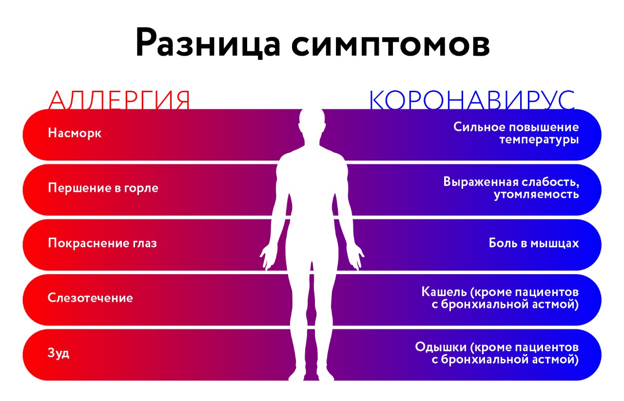 Аллергия не пройдет: как обезопасить себя - Москва.Центр