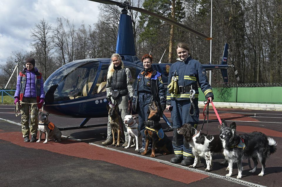2016 год. Светлана со спасателями-добровольцами и их собаками на учебно-тренировочном полигоне в деревне Апаринки. Фото из личного архива