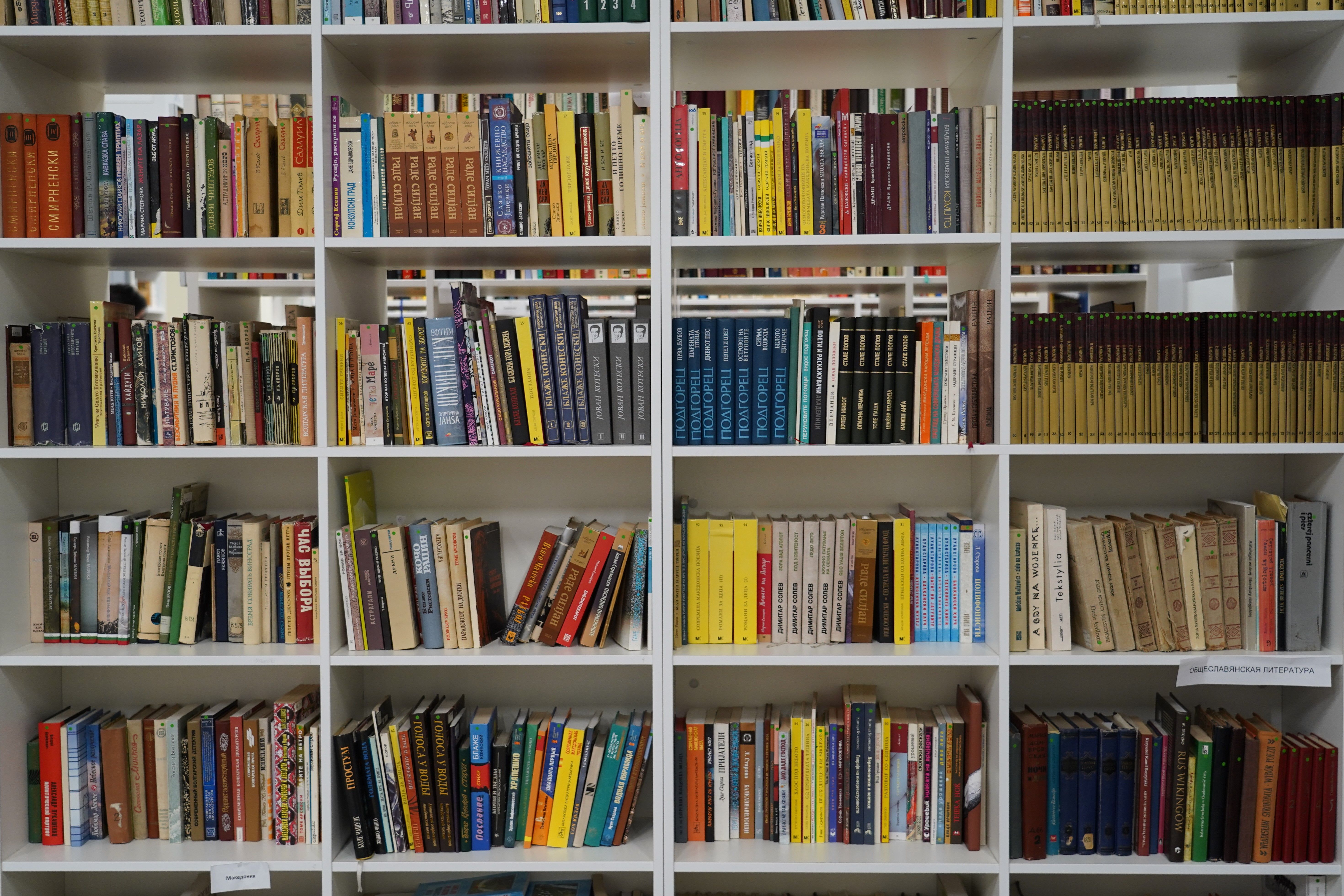 Библиотеки столицы запускают онлайн-программу летнего чтения школьников. Фото: Денис Кондратьев
