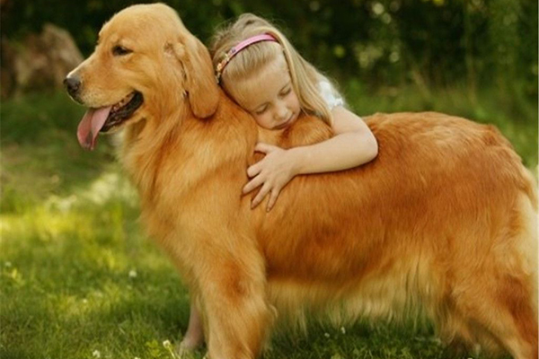 Лучший друг человека: как правильно заботиться о собаках