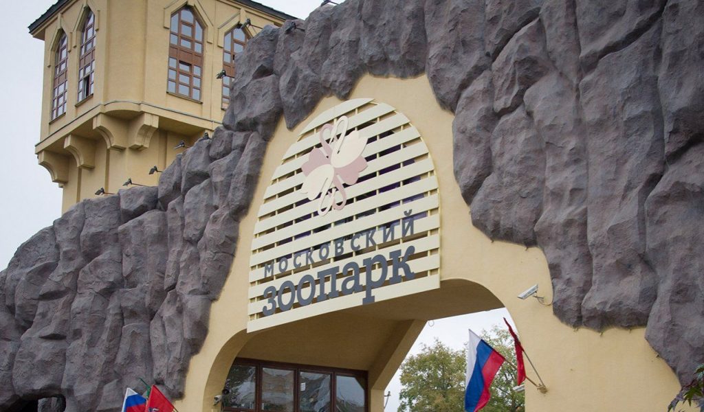 Сухопутный аквалангист: любителей снорклинга пригласили в Московский зоопарк