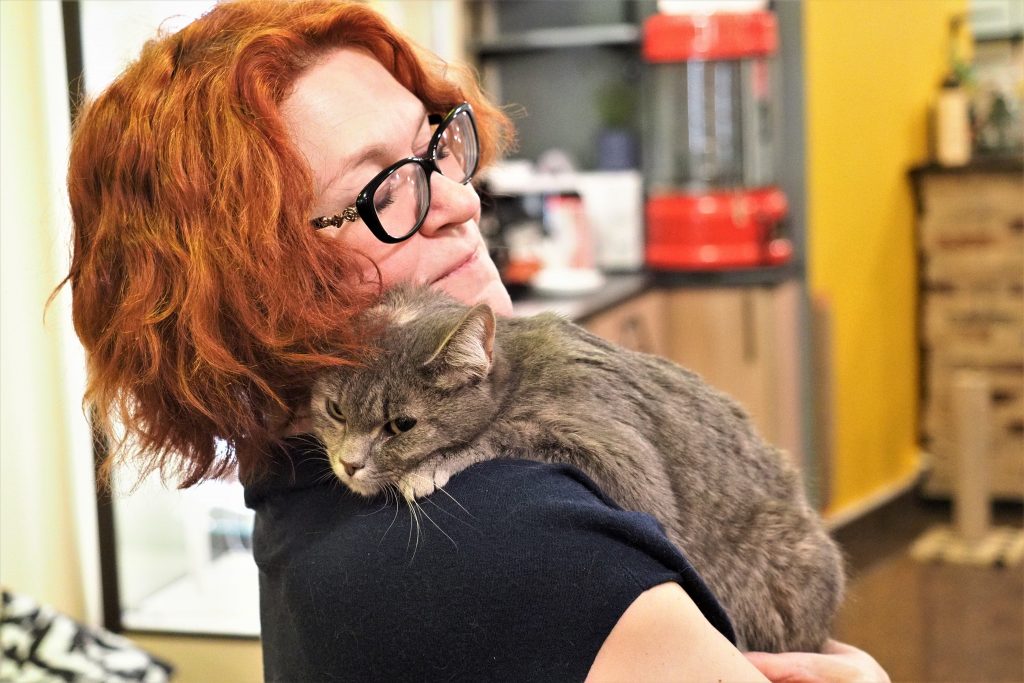 Ветеринары Москвы помогли 47 тысячам котов за год