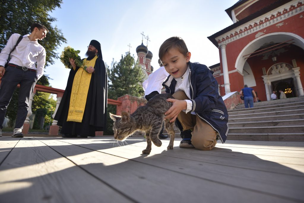 ФОТОФАКТ: Юный прихожанин Высоко-Петровского монастыря Петр Гришин играет с котом