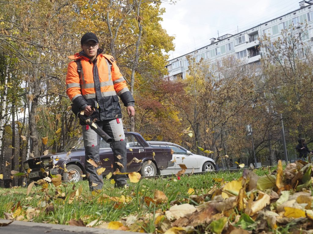 Москвичам разъяснили принципы уборки листьев в городе