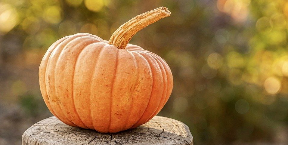 Осенний фестиваль в «Аптекарском огороде» продлили до середины ноября. Фото: pixabay.com