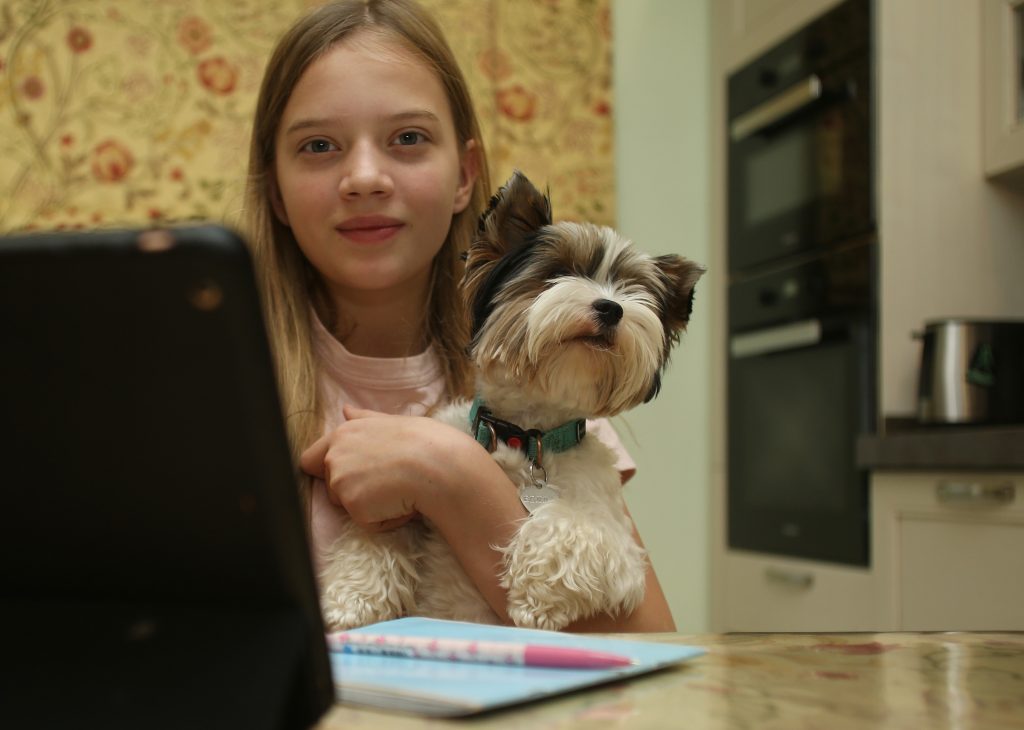 Виртуальный кот «Московской электронной школы» получил имя