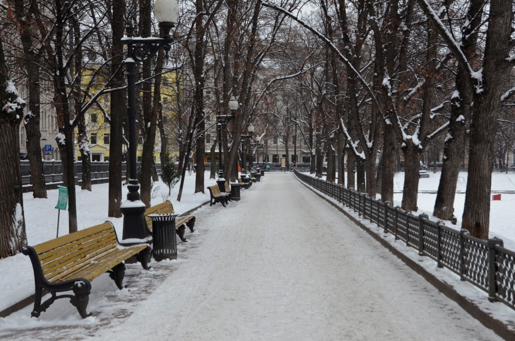 Небольшой снег ожидается в Москве