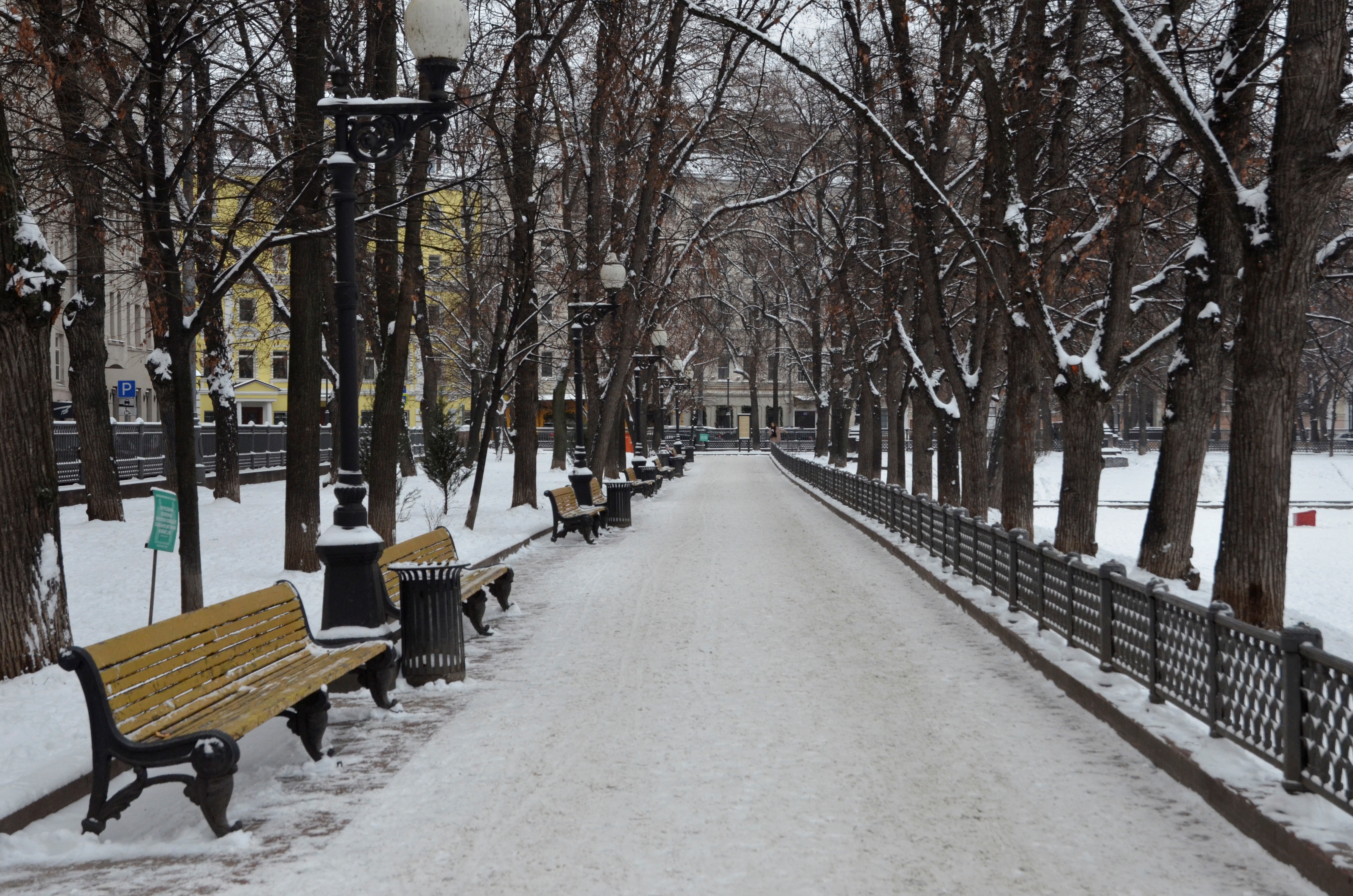Небольшой снег ожидается в Москве. Фото: Анна Быкова