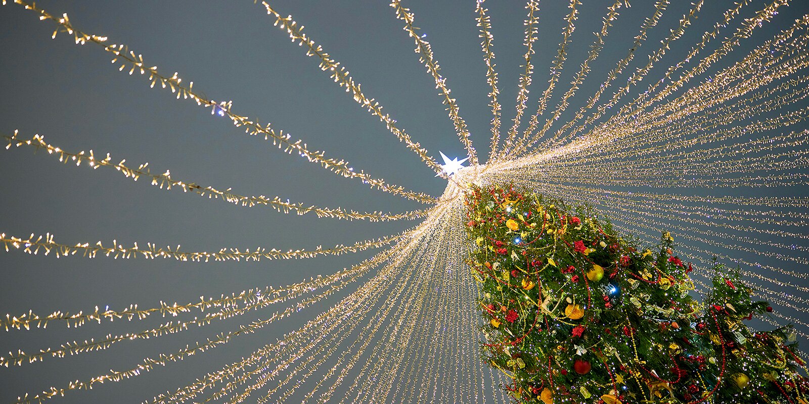 Новогоднюю ель с символикой московского транспорта установят в Лаврушинском переулке. Фото: сайт мэра Москвы