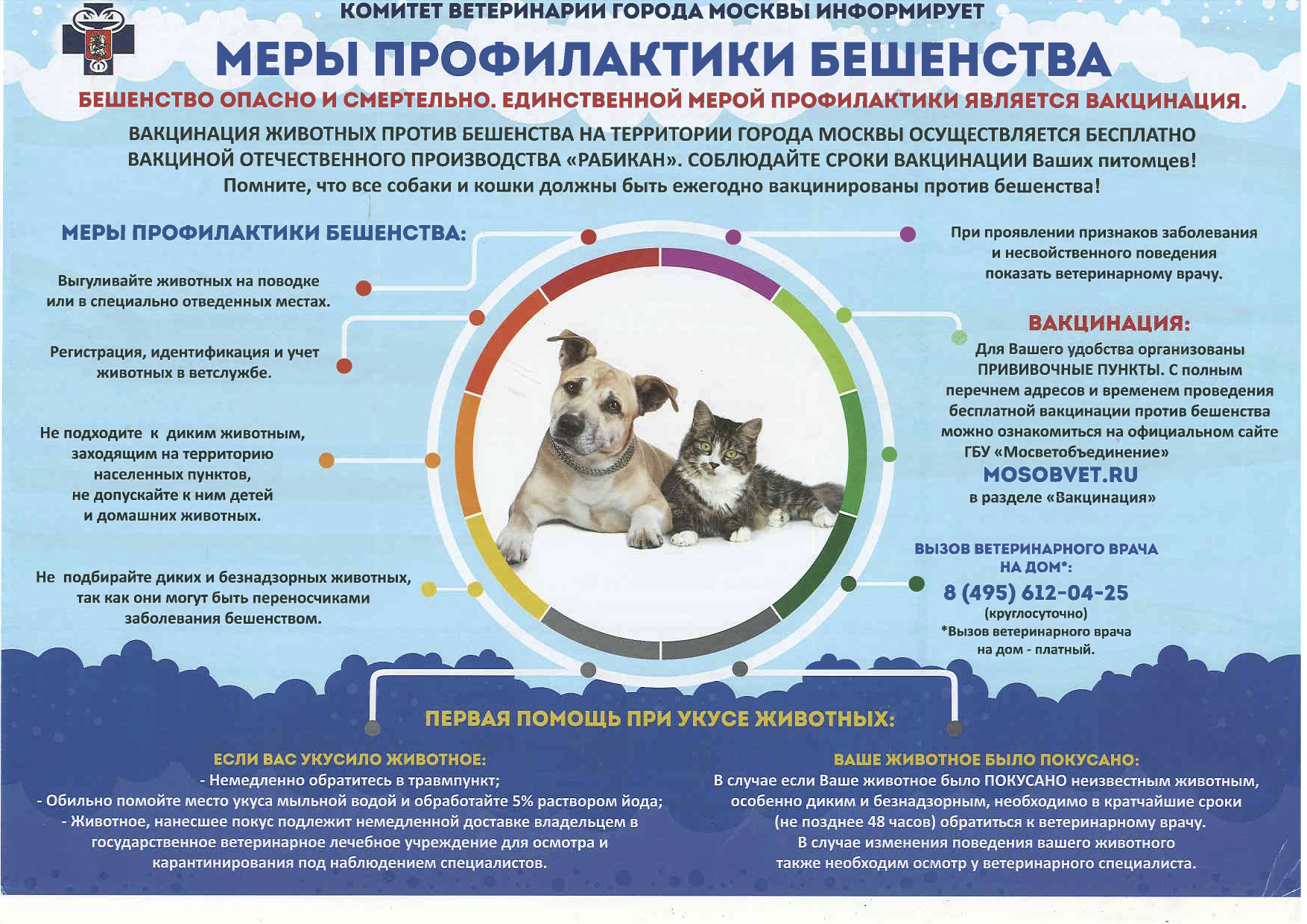 Профилактика бешенства приказ. Меры профилактики бешенства. Профилактика бешенства. Экстренная профилактика бешенства схема. Профилактика бешенства у животных.