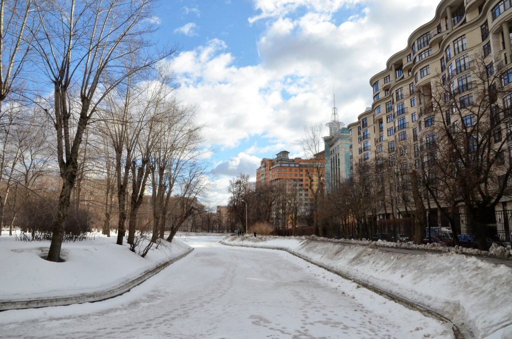 Специалисты Мосприроды рассказали о деревьях в Москве