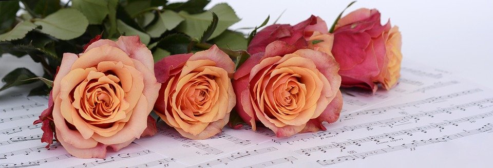 Помним наших педагогов: концерт пройдет в нотно-музыкальной библиотеке №17. Фото: pixabay.com