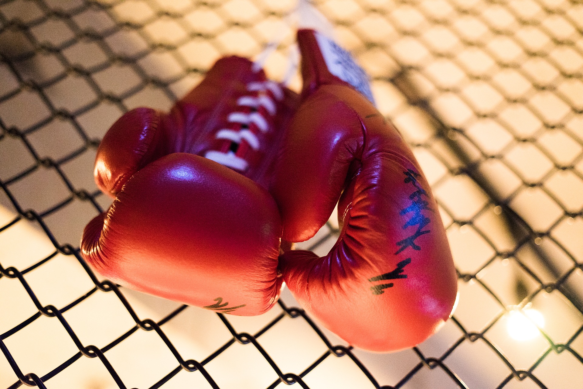 Онлайн-урок бокса проведут сотрудники филиала «Красносельский»