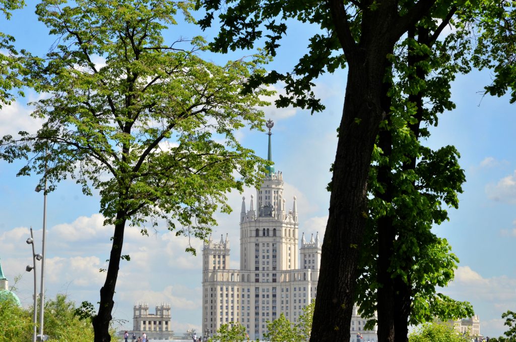 Москвичи подали более восьми тысяч заявок на участие в проекте «Наше дерево»