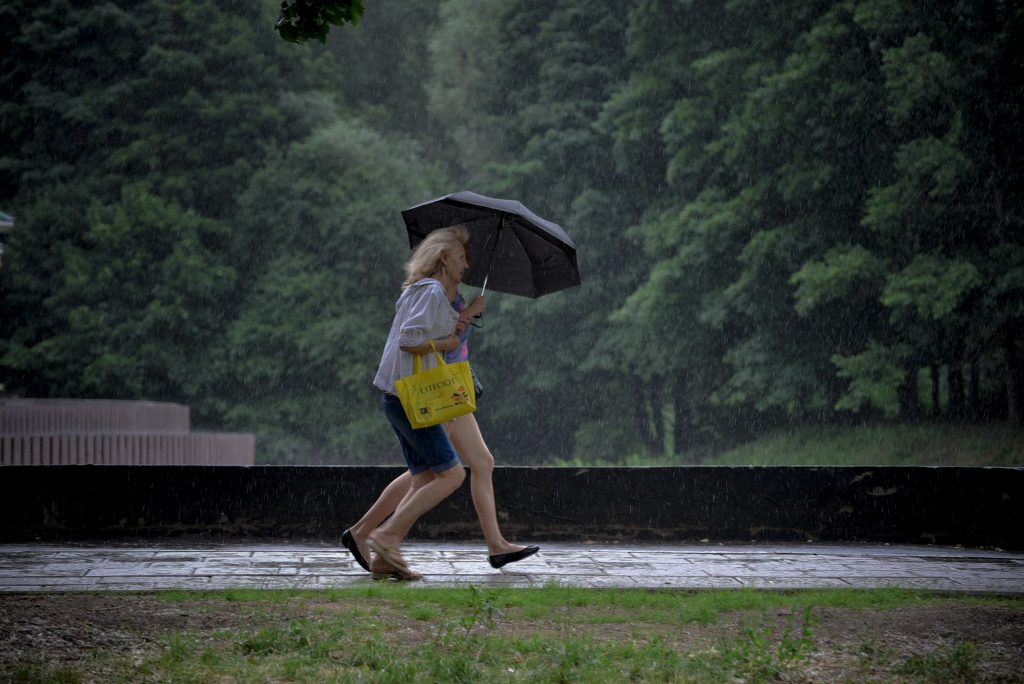 Грозовые дожди ожидаются в Москве в субботу