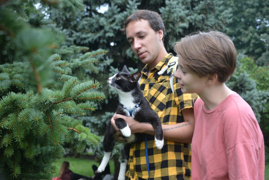 Жители Москвы организовали для кота праздничный променад в саду Баумана. Фото: Анна Маламкадзе, «Вечерняя Москва»
