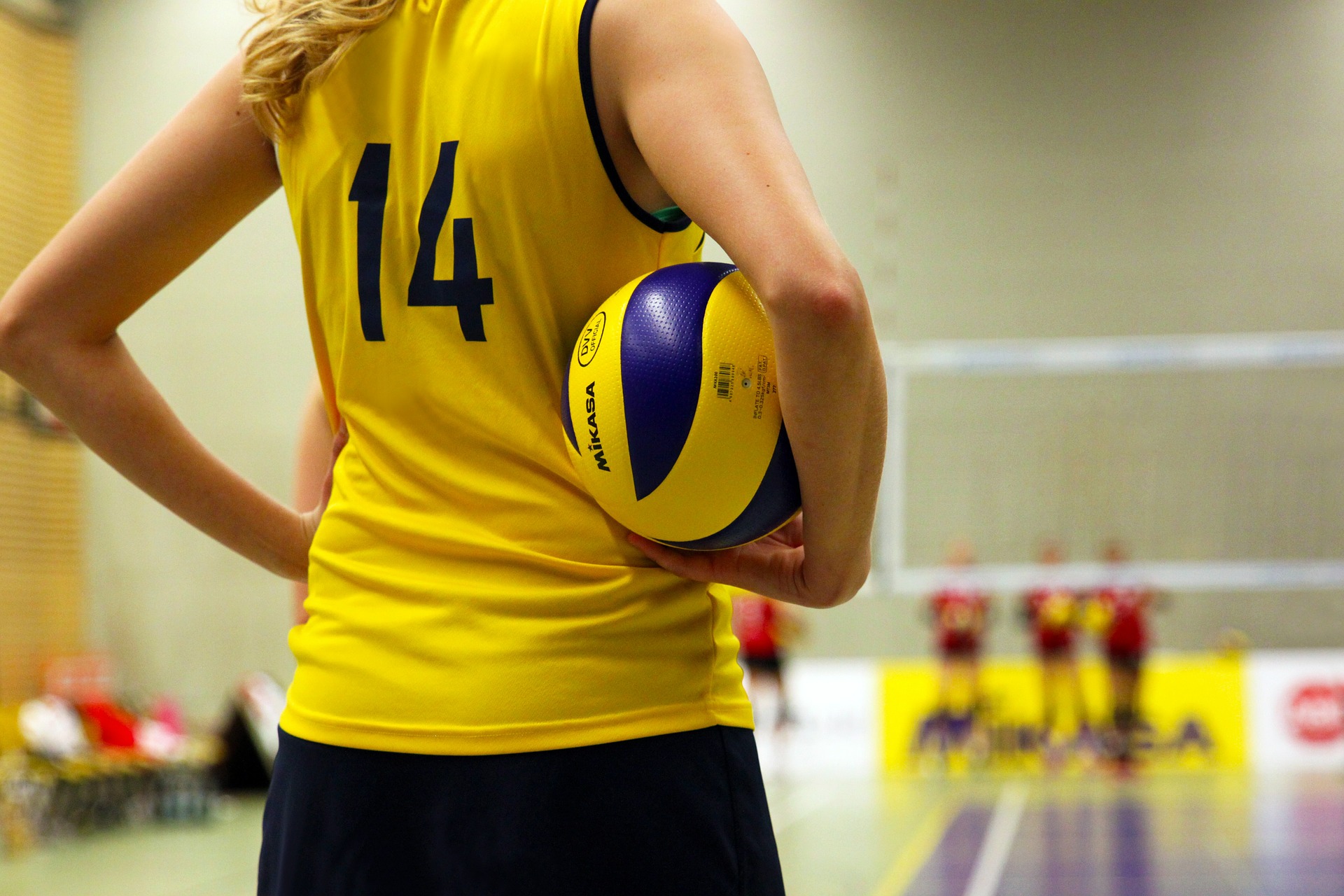 Волейбольная команда Плехановского университета объявила дату отбора спортсменов в сборную. Фото: pixabay.com