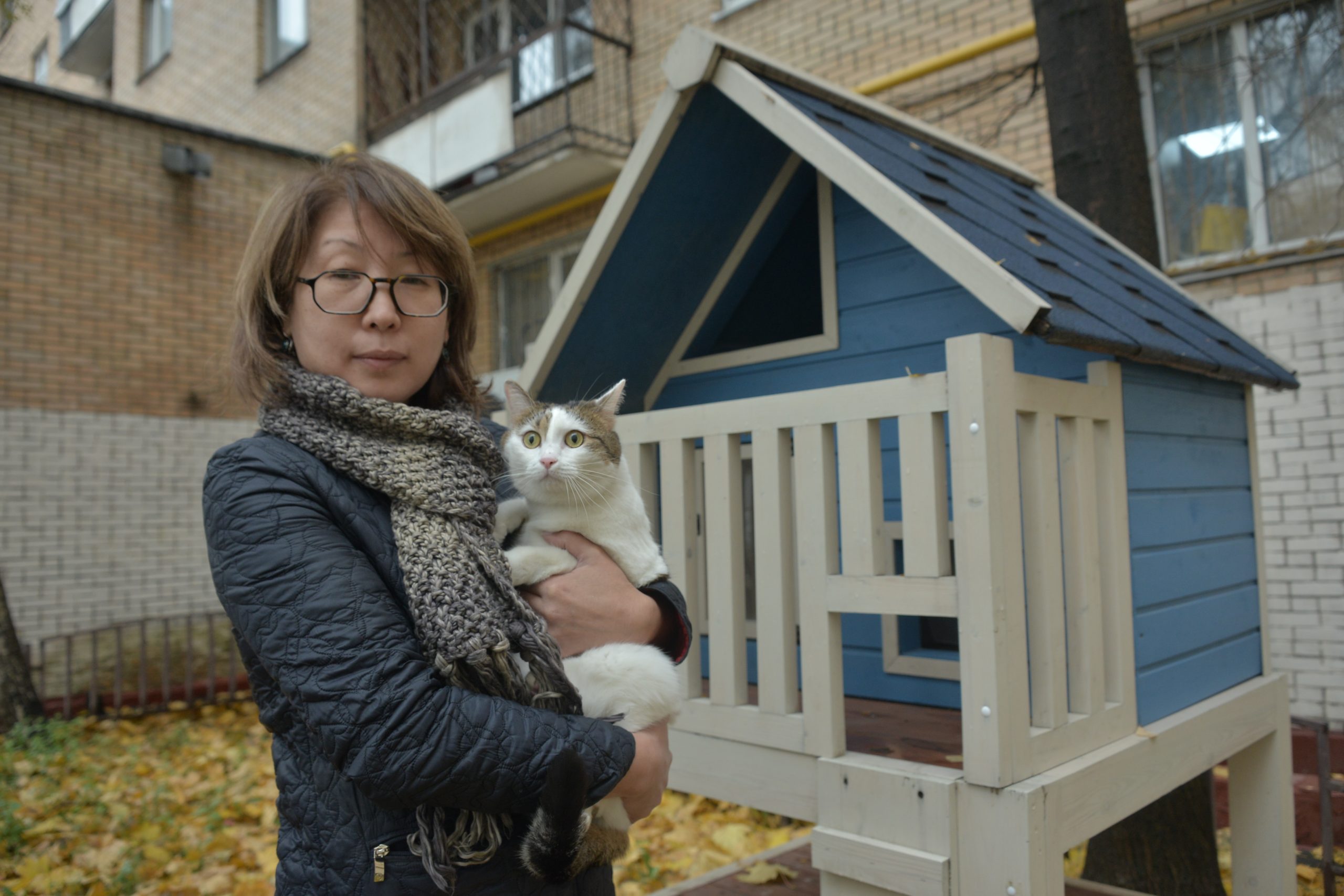 15 октября 2021 года. Жительница Пресненского района Светлана Хасанова установила для уличных кошек коттедж во дворе своего дома. Фото: Анна Малакмадзе