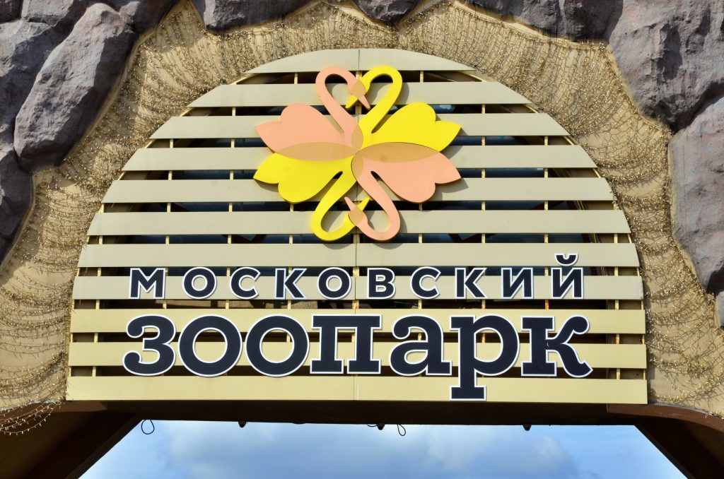Жителям и гостям столицы рассказали о работе Московского зоопарка в нерабочие дни